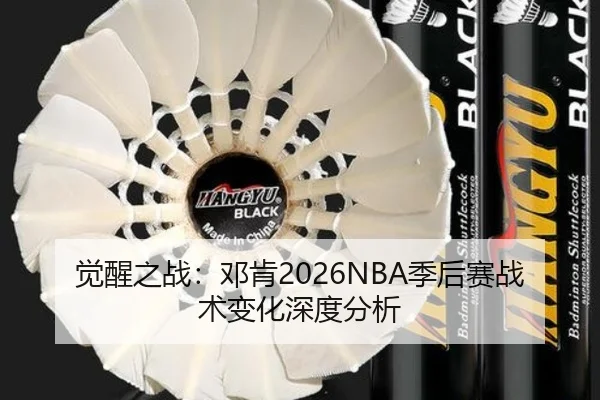 觉醒之战：邓肯2026NBA季后赛战术变化深度分析